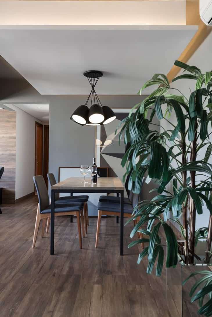 Espaço verde no apartamento com plantas de sombra.