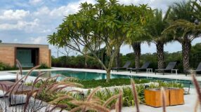 10 árvores para jardim que garantem uma área verde e aconchegante