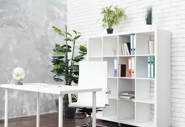 Imagem com plantas que podem ser usadas no ambiente de trabalho