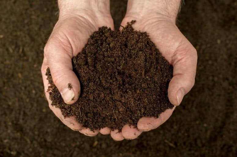 Imagem ilustrativa de adubo ideal para o cultivo da Rosa do Deserto.