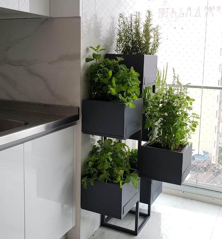 E você escolhe a planta que desejar.