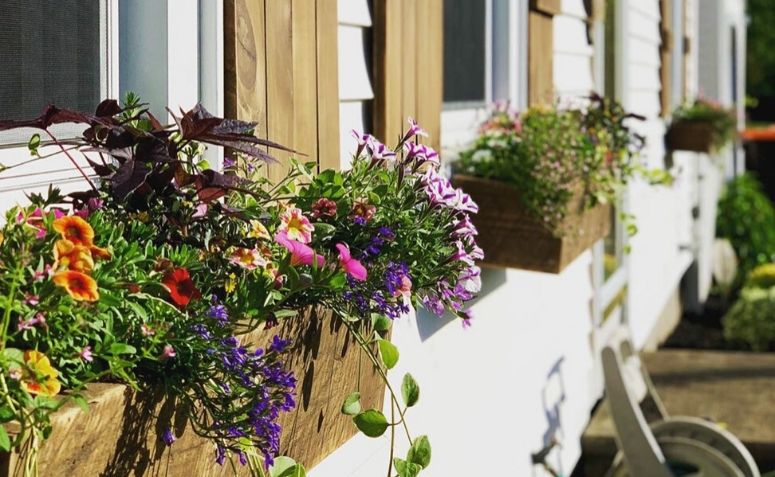 Uma boa pedida para aproveitar espaços da casa ou apartamento é investir em uma área verde, onde você consiga cultivar suas plantas favoritas e deixar o ambiente mais bonito.