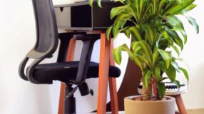 Imagem de um espaço com plantas para escritório, trazendo a natureza para o ambiente de trabalho.
