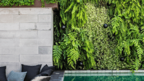 20 plantas para jardim vertical que deixarão sua parede verde