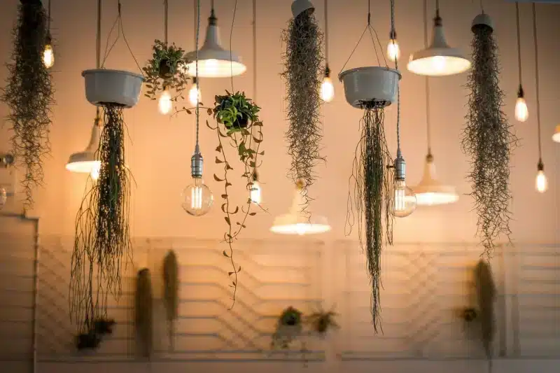 Types of Light Bulbs: What They Are and the Best Choices 3 Tipos de lâmpada: incandescente