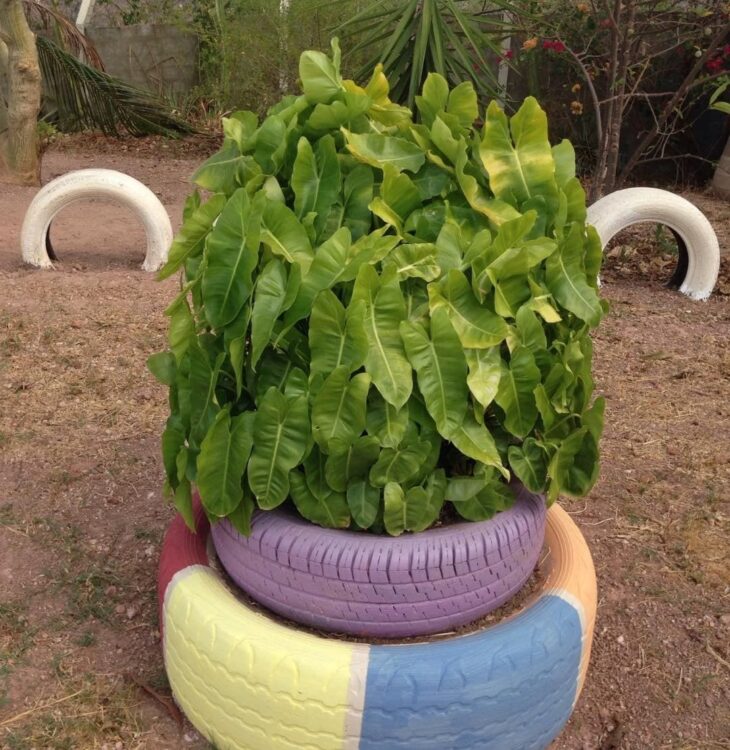 Transform Your Garden: 55 Incredible Tire Gardening Ideas! 2 Jardim com pneus 02, uma abordagem colorida.