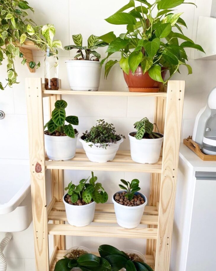 Plant Shelves: 20 Ideas and Tutorials to Fill Your Life with Green 9 A madeira pinus é bastante utilizada em prateleiras.