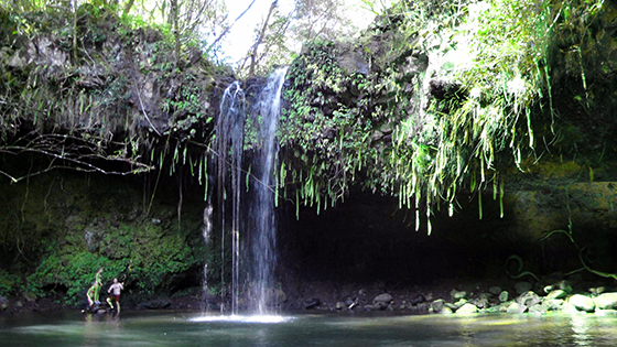 Uma bela paisagem tropical do Havai.