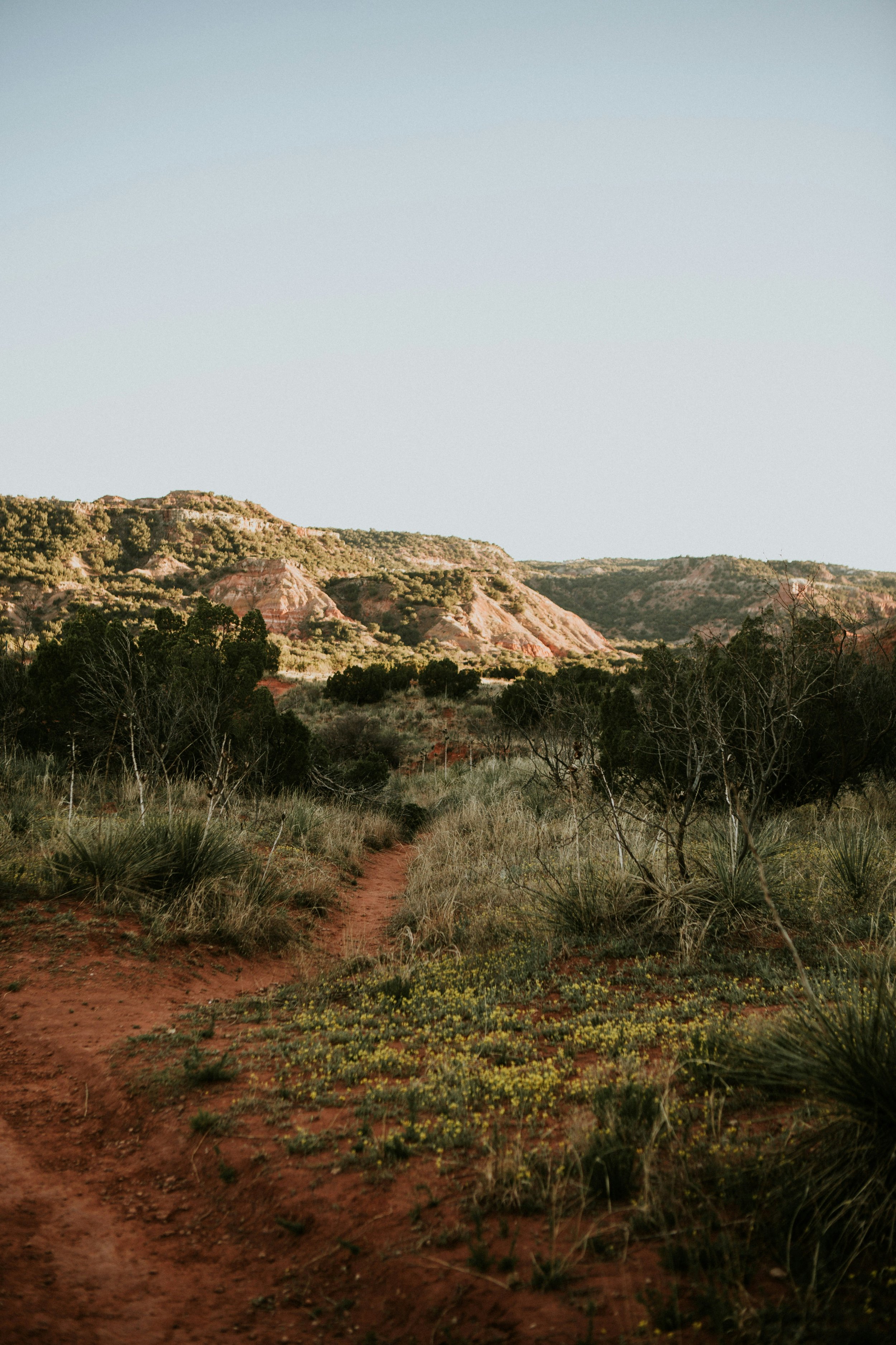 The Ultimate Guide to Buying Land in the Scenic Central Texas Hill Country 3 Imagem de uma paisagem do Central Texas Hill Country, com vista para as colinas e natureza abundante.
