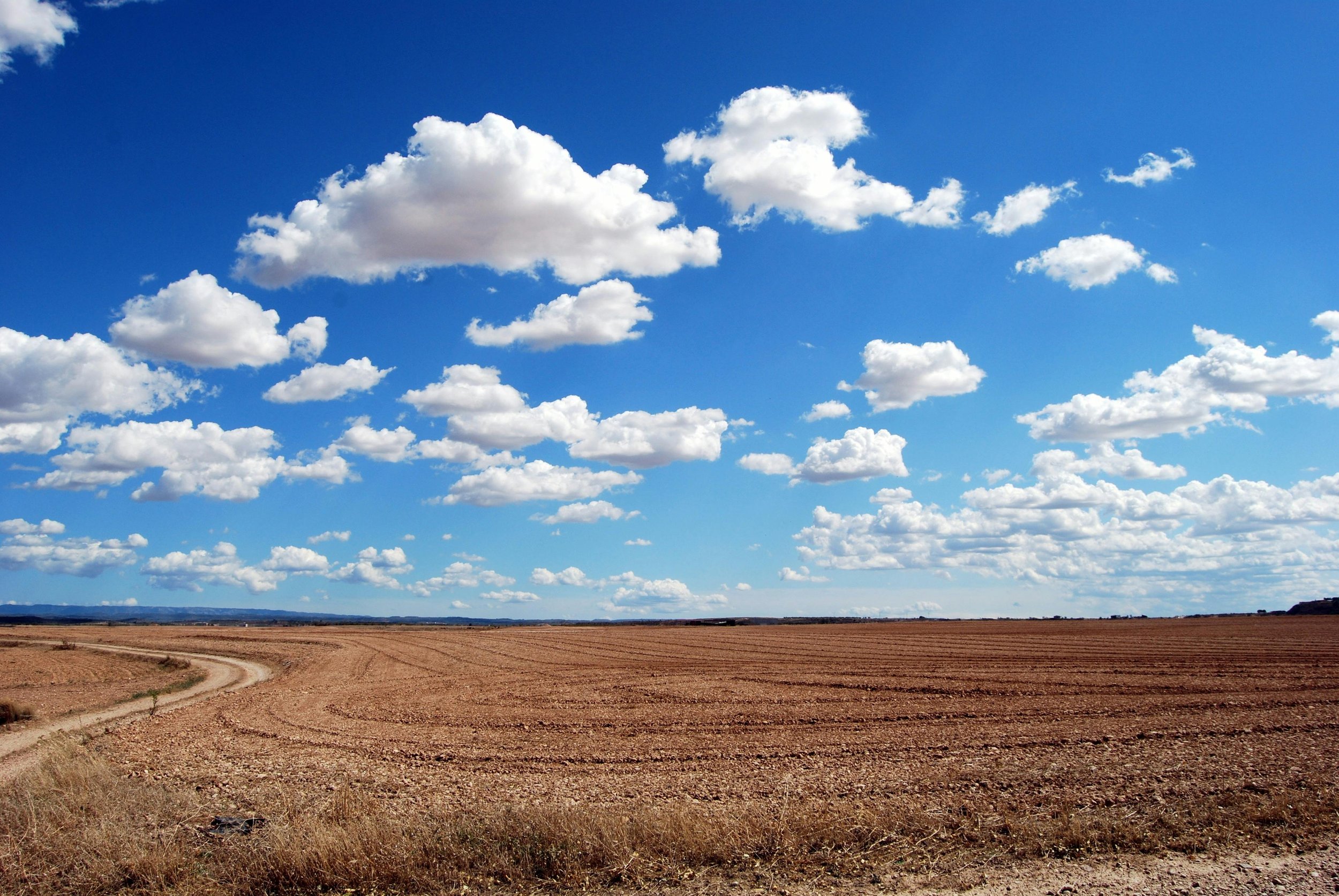 The Ultimate Guide to Buying Land in the Scenic Central Texas Hill Country 5 Imagem de um cenário sereno no Texas Hill Country, ideal para construção de uma casa ou para propriedades de caça.