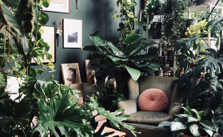 Urban Jungle: 35 Green Ideas on How to Use This Trend 3 Imagens de uma selva urbana