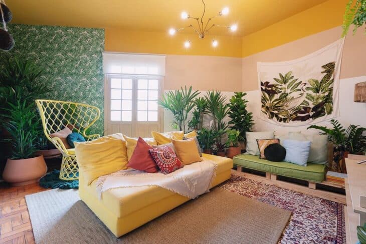 Ambientes com cores vivas com plantas